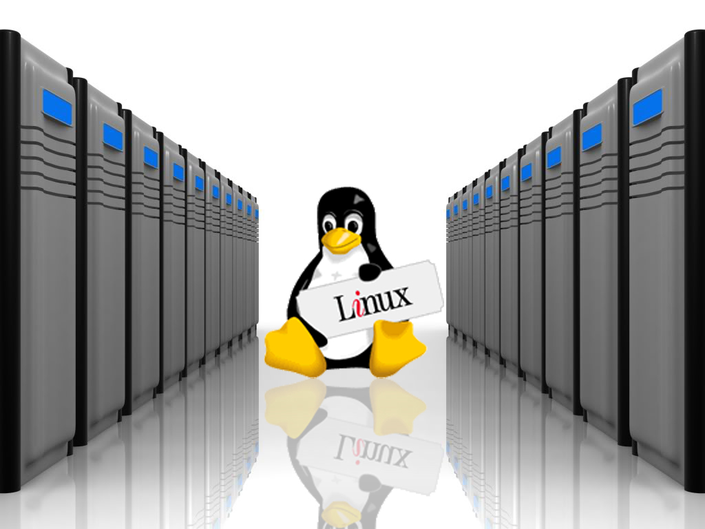 Linux hosting