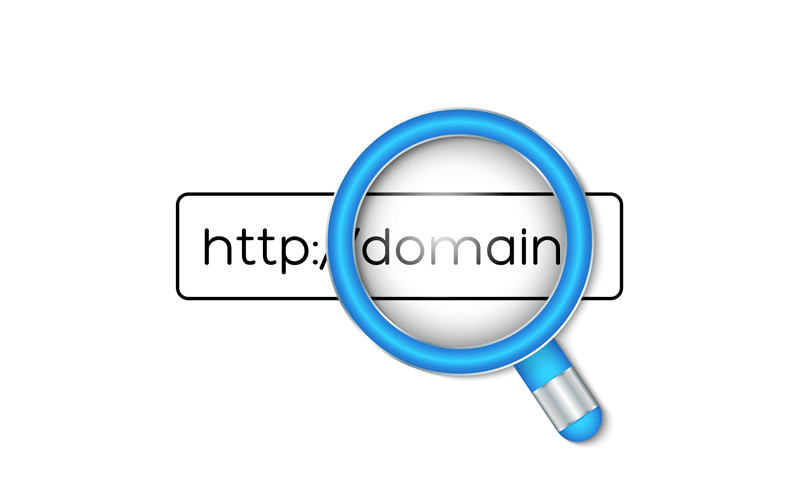 Domain Check