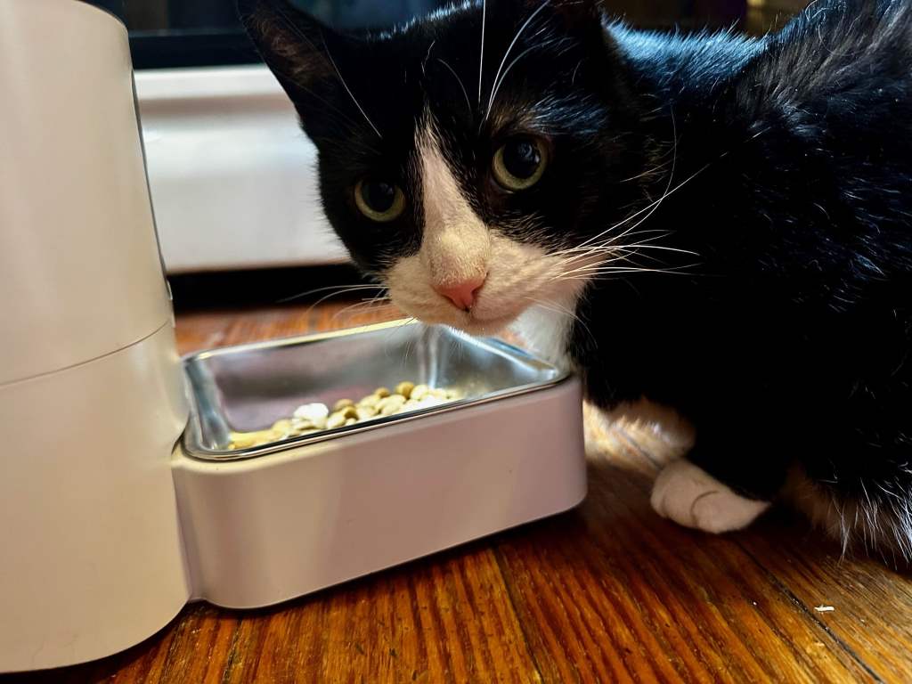 Automatic Cat Feeder for Wet Food with Refrigeration